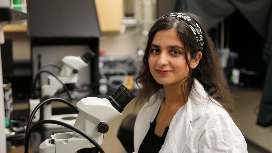 Bryant's Ramsha Gul in research lab.